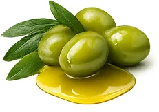 Sedopsorin — azeite (Olea europaea)