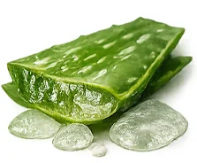 Sedopsorin — sumo de folha de aloé (Aloe Barbadensis)